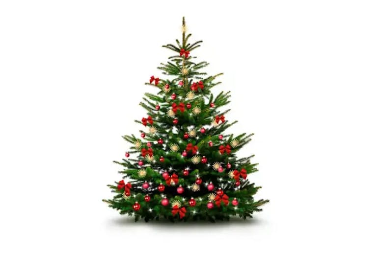 bästa julgranen 2024, fin plastgran bäst i test julgran plast bäst i test 2024, julgran med belysning bäst i test, konstgjord julgran bäst i test 2024