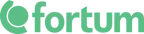 Fortum elavtal