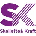 Bäst i test elpriset 2024 - Skellefteå Kraft - Bäst i test