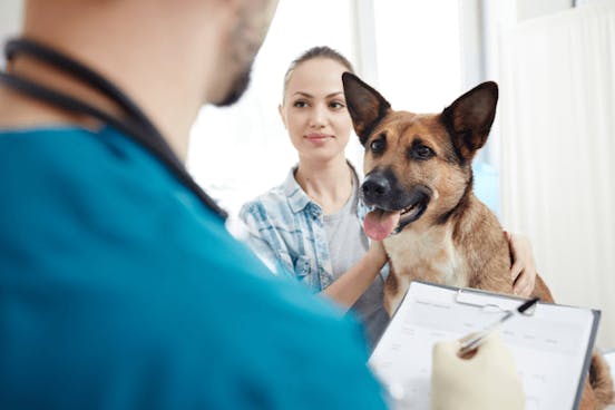 Agria hundförsäkring